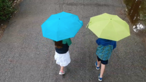 Creativity Camp 2019 Music Video