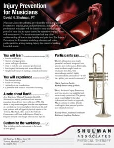 David H. Shulman's workshop flyer