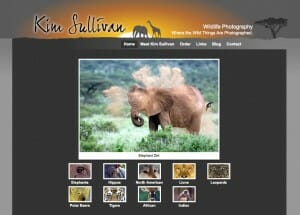 Kim Sullivan - Photographer