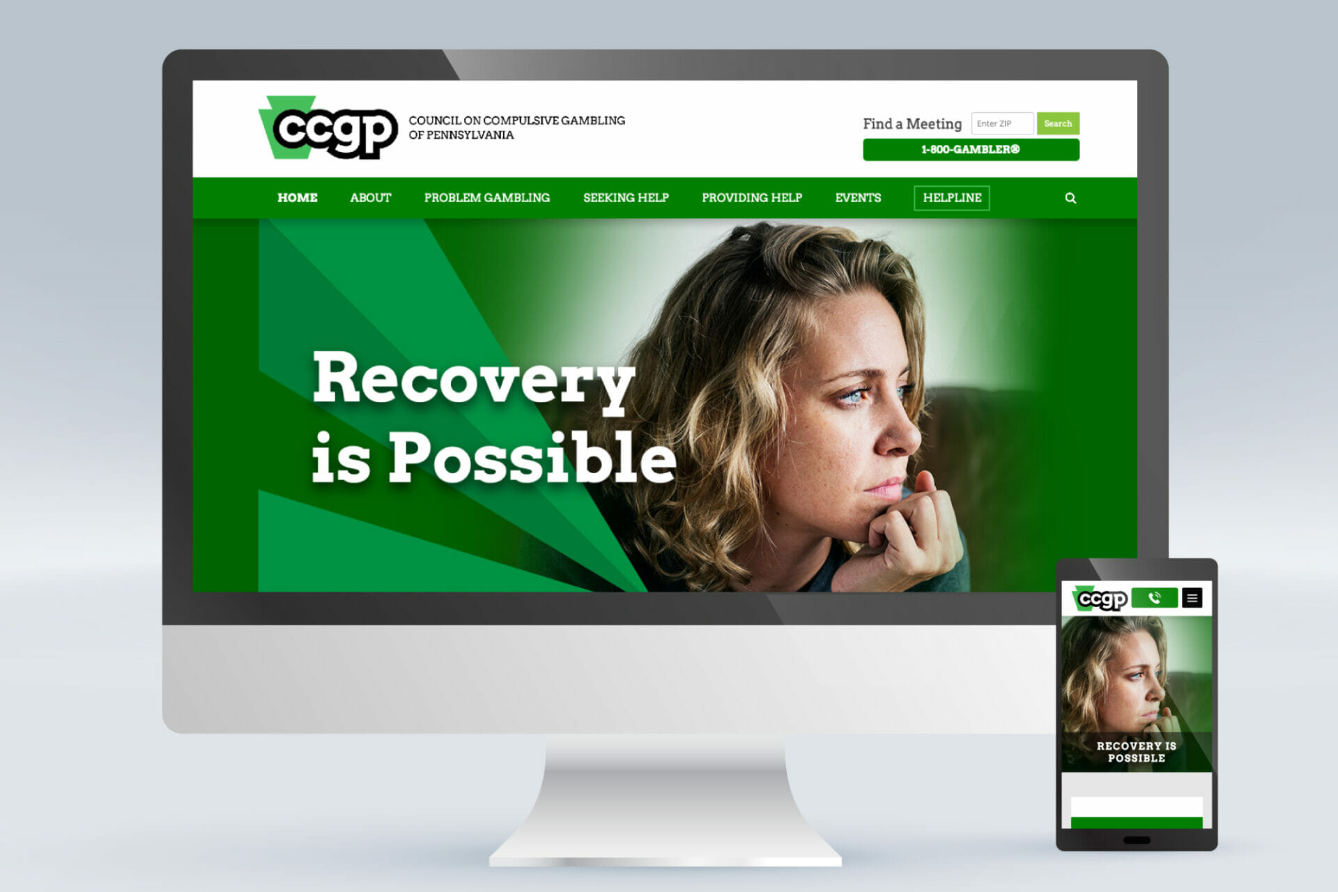 website home page design for pacouncil.com